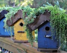 DIY Living Roof Birdhouse