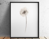 Items similar to Dandelion drawing Natural Minimalist  