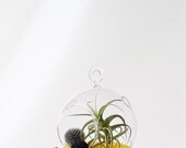 Glass Terrarium//Happy +Yellow/Spring Gift Ideas