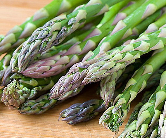 asparagus roots jersey supreme bnifhw asparagus roots jersey supreme bnifhw