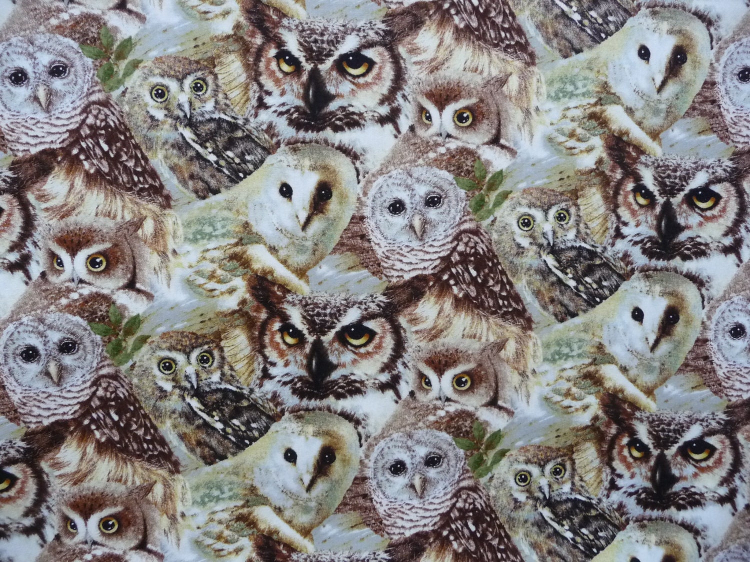 Owl Fabric Woodland Fabric Owls of Wonder Giordano Studio
