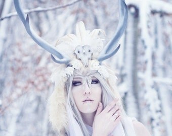 Horns and Headdresses | Printed | DE/EN