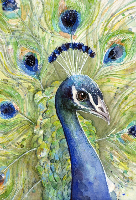 Peacock Watercolor Painting Giclee Art Print