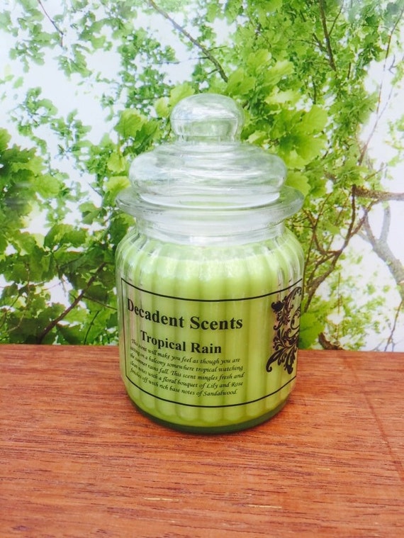 Tropical Rain Scented Soy Candle by DecadentScents on Etsy