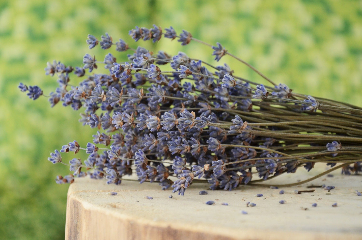 Dried Lavender Bunch Bulgarian Lavender Bunch