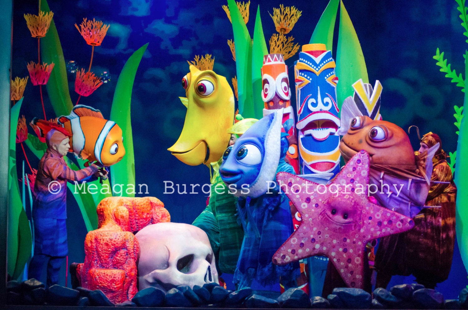 Finding Nemo Photo Live Show Disney Musical by MBurgessPhotography