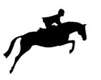 Hunter / jumping horse vinyl decal