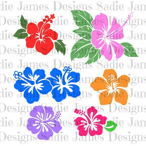 Download Hibiscus Flower Collection SVG amd Silhouette Studio cutting