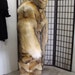 Brand new double sided coyote fur snowsuit jumpsuit bodysuit coat w/ hood for men man size all  custom made
