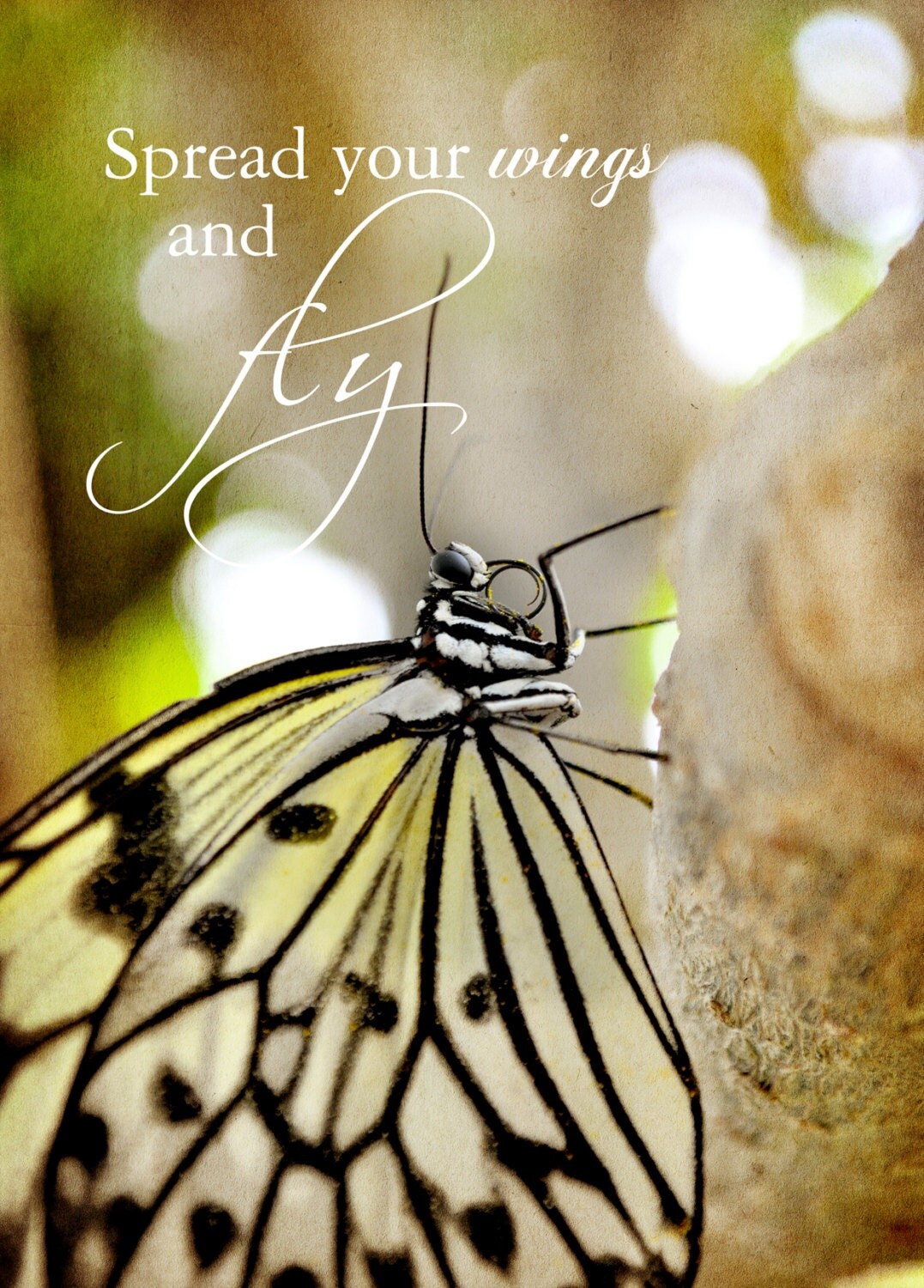 Spread Your Wings and FLY