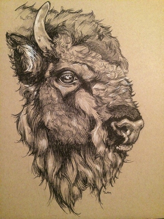 Items similar to Pen and ink drawing of a buffalo face. on Etsy