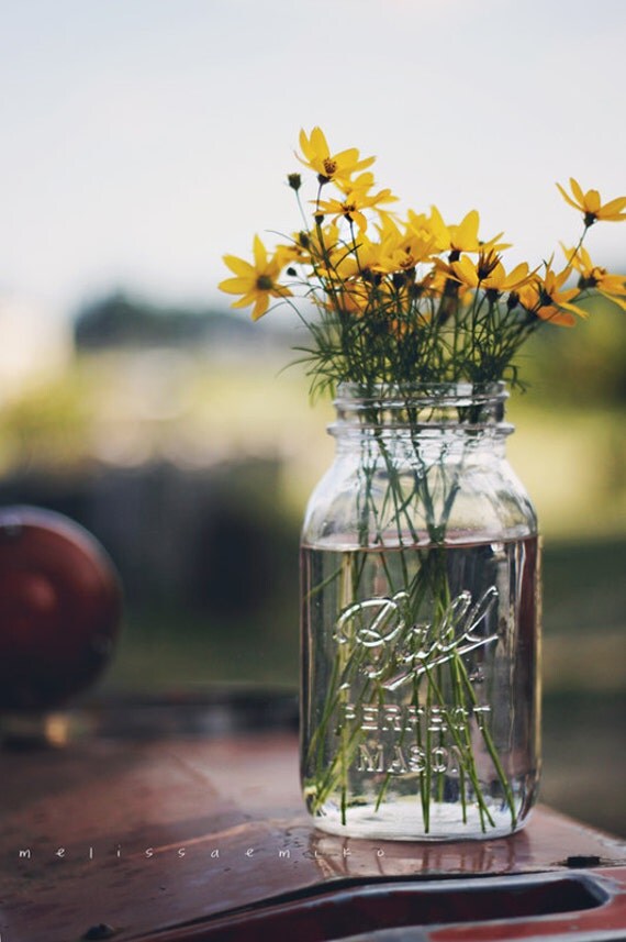 Fresh Cut Flowers in Mason Jar Still Life by MelissaEmikoPhoto