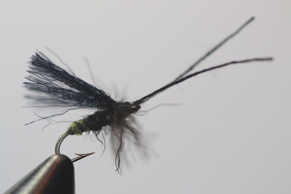 little black caddis fly