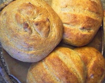 Colorado Rocky Mountain Miners Sourdough Starter Kit