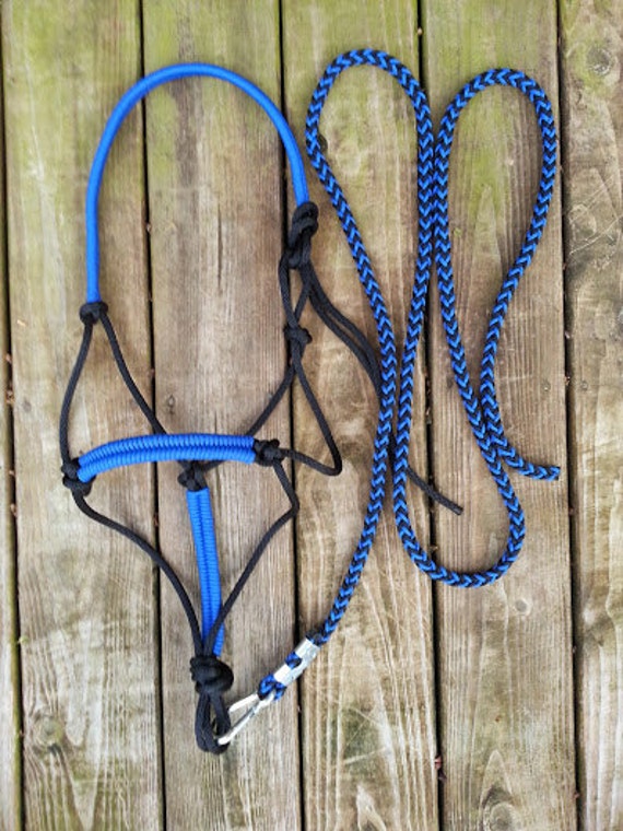 SALE Rope Horse Halter & LeadRoyal Blue by KnotsByK on Etsy