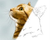 Cat Digital Stamp Drawing Download, Cat Illustration DigiStamp, Cat Sketch, Digital Scrapbook & Craft Supply, Scrapbooking Supplies, Cat Art