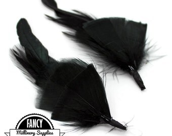 2 - Black - Feather Picks - Great for Earrings - Boutonnieres - Millinery