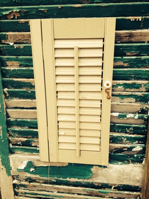 Sage GReen Wooden hinged Louvered Shutter by DOUBLEDOORANTIQUES