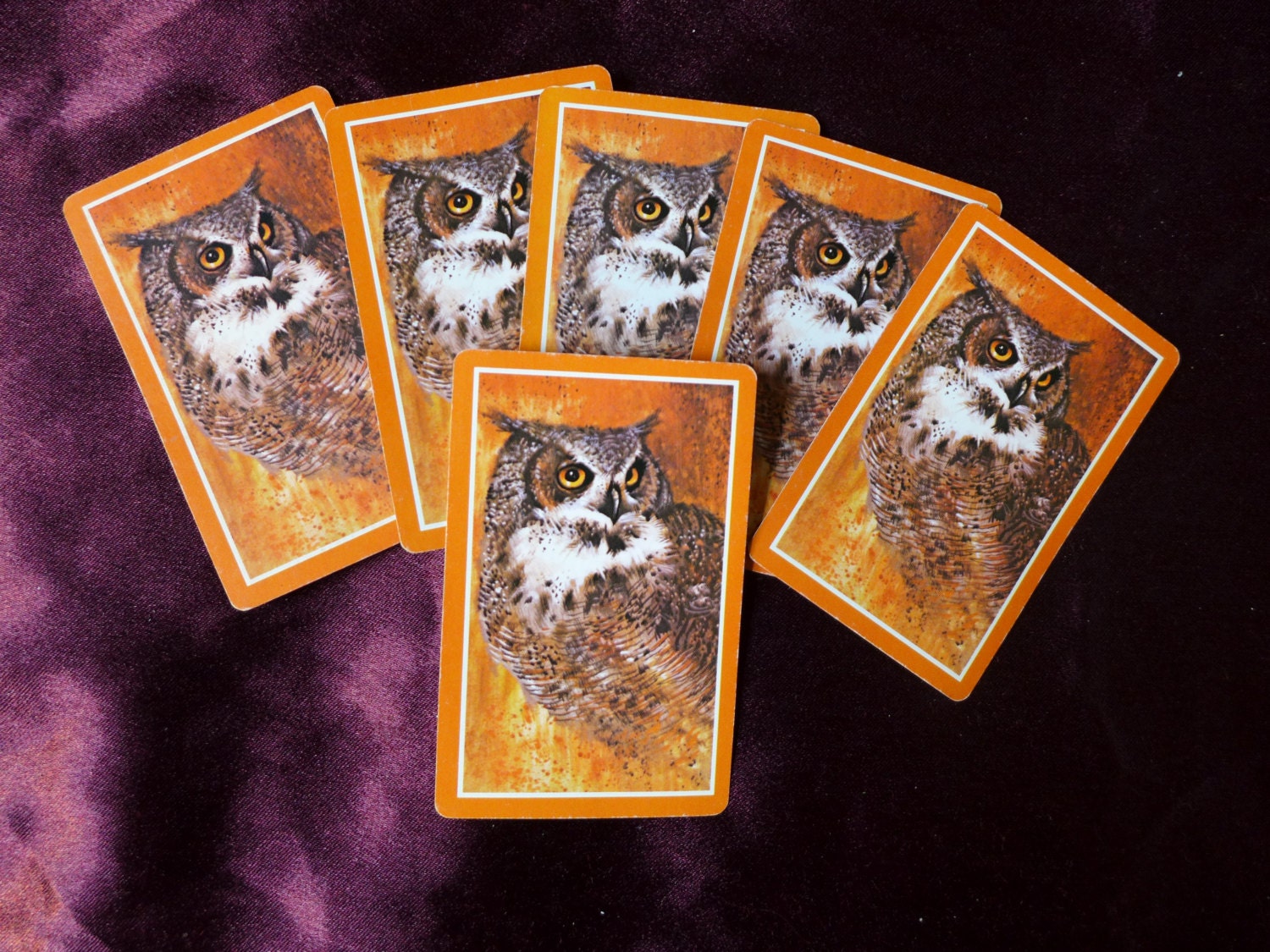 bicycle owl playing cards