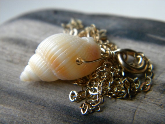Spiral shell necklace in 14k yellow gold fill by salemplus2
