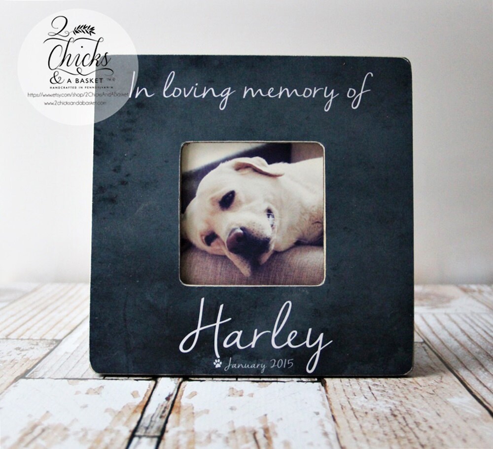 pet in loving memory picture grid