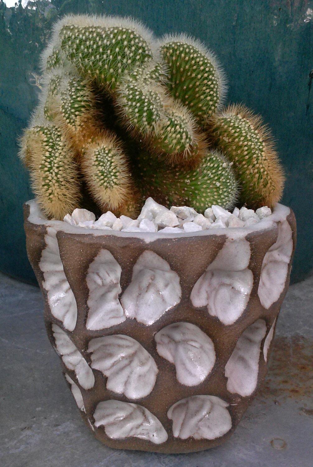 Hand Built Ceramic Planter