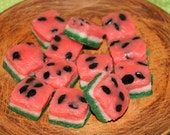 WILD WATERMELON Primitive Grubby Cake Bites Cube Wax Tarts Melts  Highly Scented
