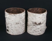 2 Birch Bark Tubes .... Natural Decor