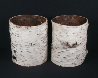 2 Birch Bark Tubes .... Natural Decor