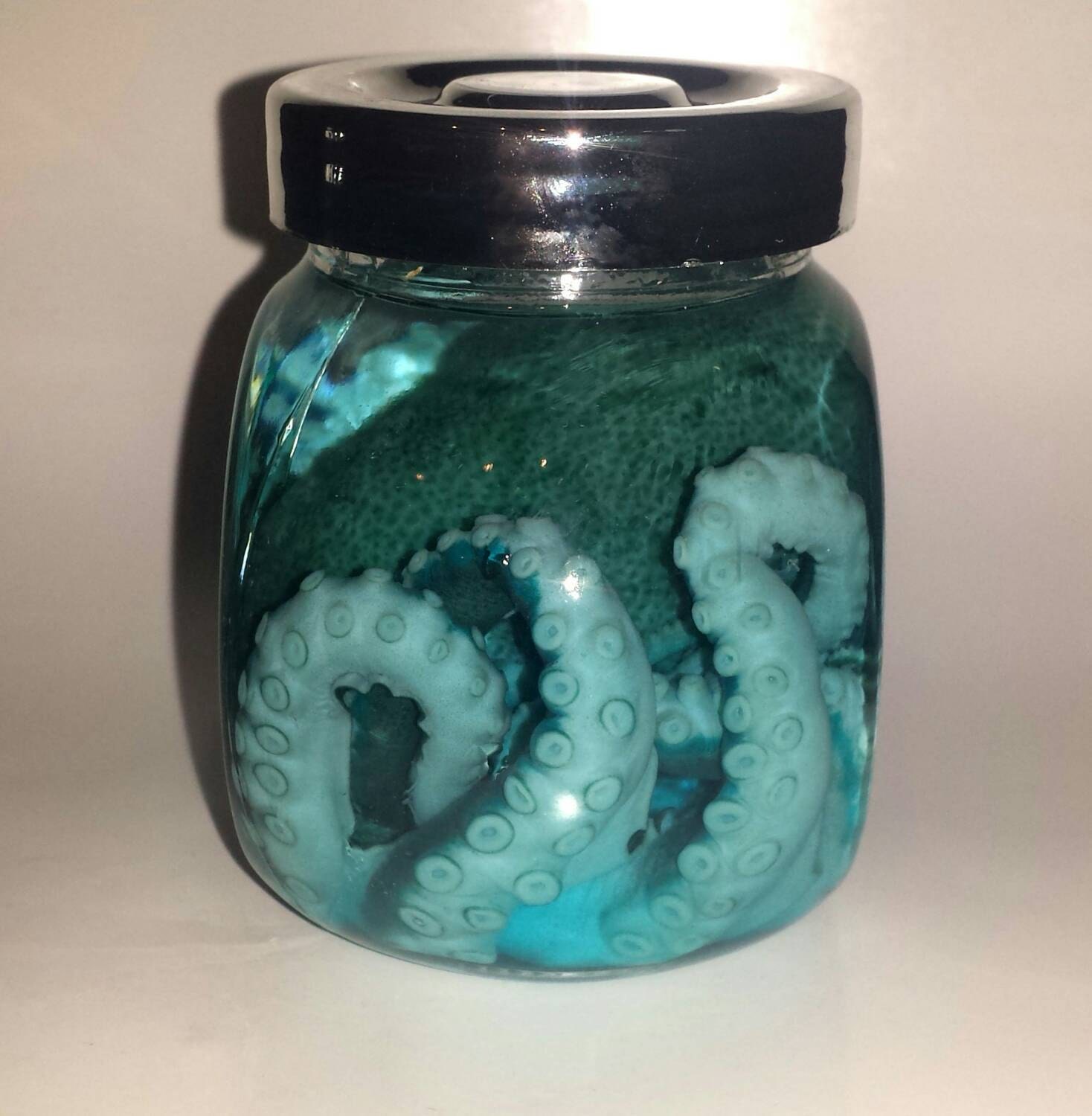Wet Preserved Small Blue Octopus in Jar taxidermy by XsForEyes