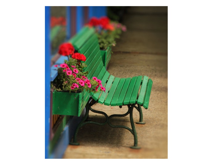 Green Bench with Window Flower Box Color Photograph Green Red Pink Colorful Landscape Photograph Home Decor Wall Art Print