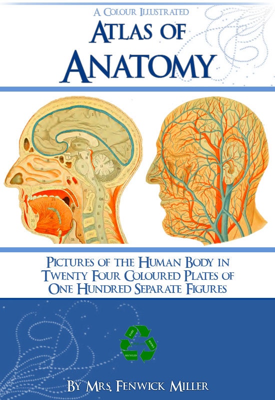 Anatomy