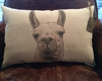 Llama Pillow / Clhoe