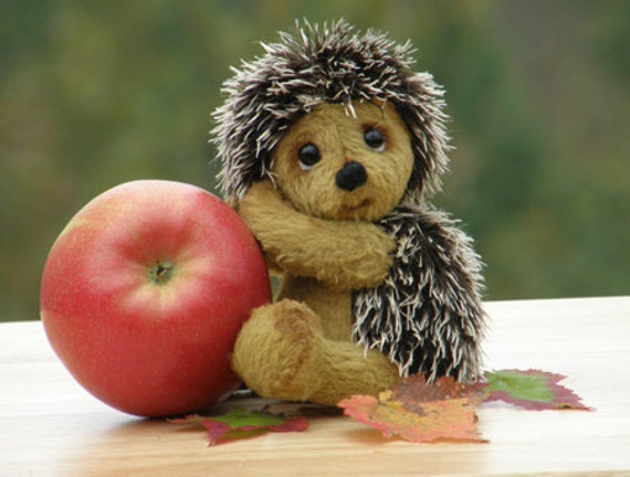 hedgehog with teddy bear