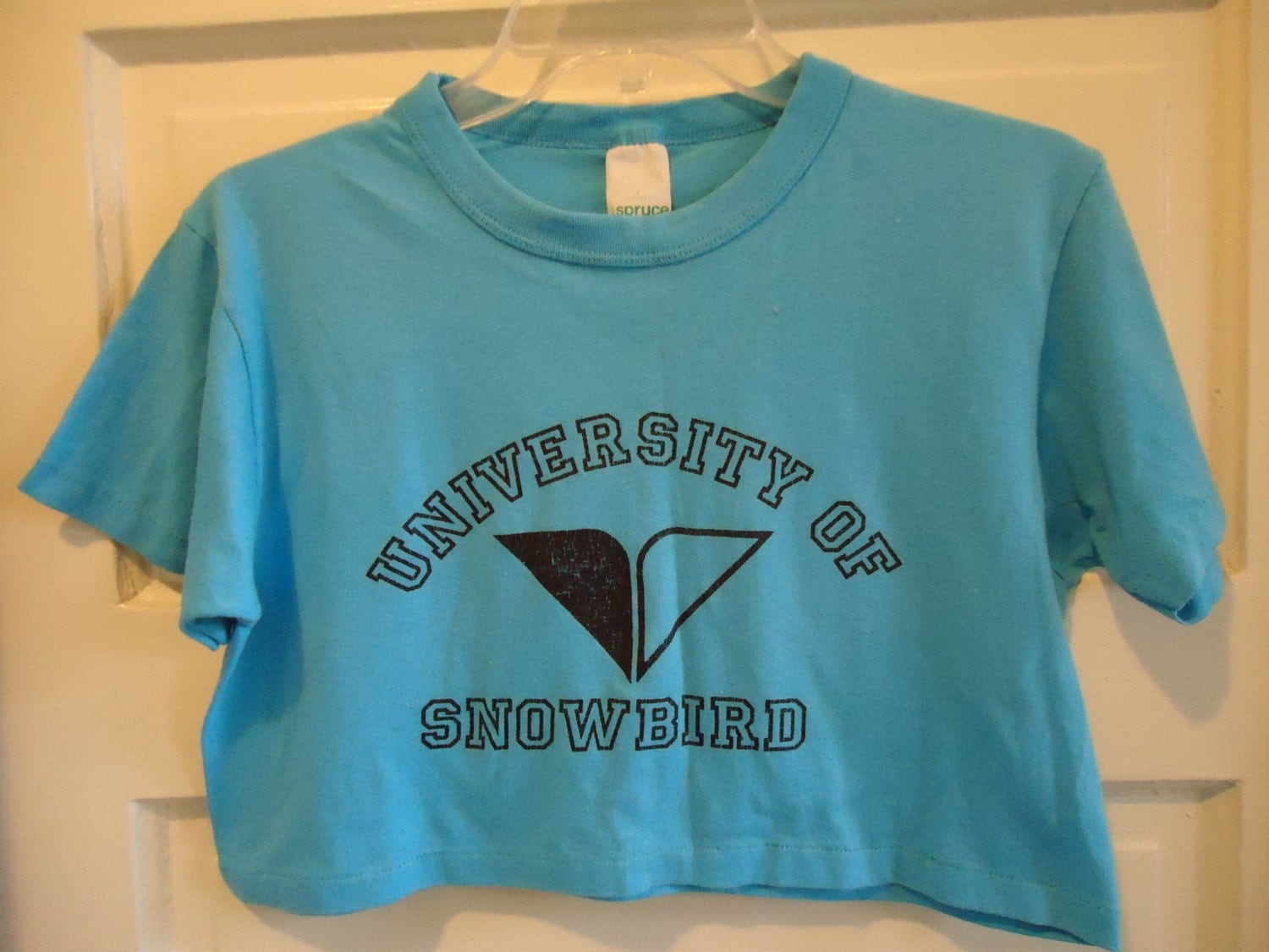 snowbird shirt