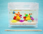 Handmade Miniature Aquarium
