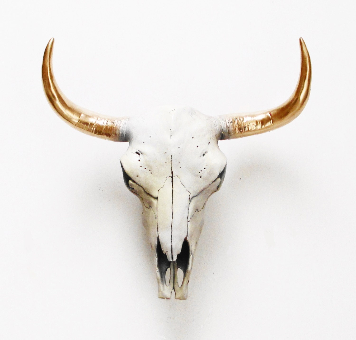 Cow Skull El Toro Cow Skull Bison Skull Animal Skull throughout cow skull home decor for Your house