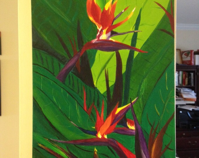 Birds of Paradise in Bloom