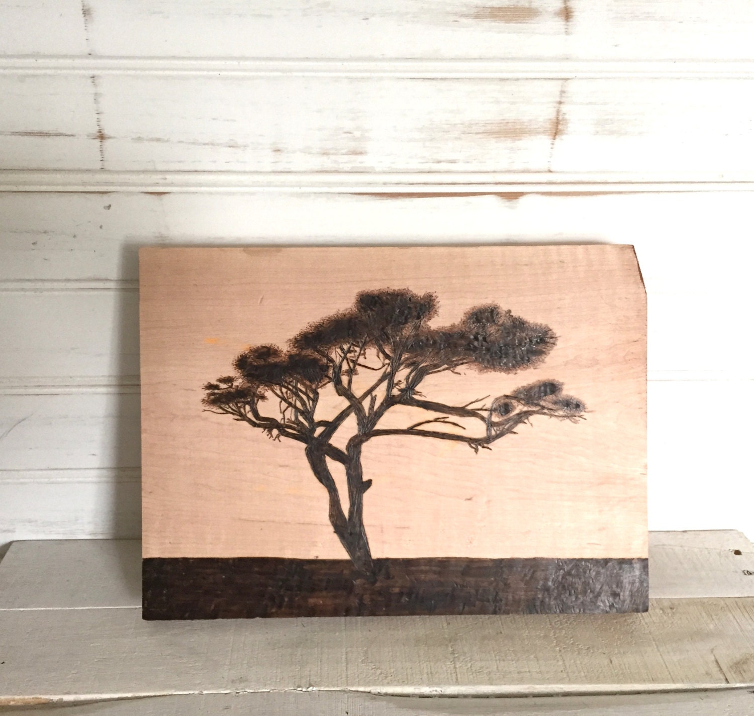 Wood Burn Acacia Tree