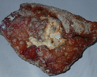 Large Carnelian, Yellow, Blue Agatized Coral Fossil