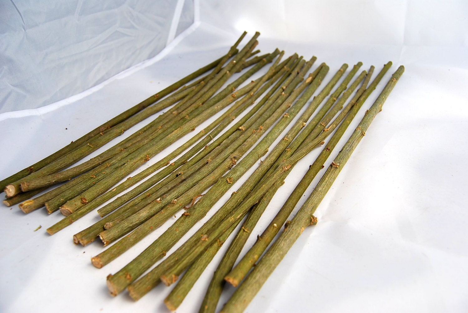 20 dried straight willow sticks for crafts or rabbit food for