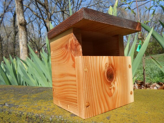 finished cedar carolina wren nesting box birdhouse finished cedar carolina wren nesting box birdhouse