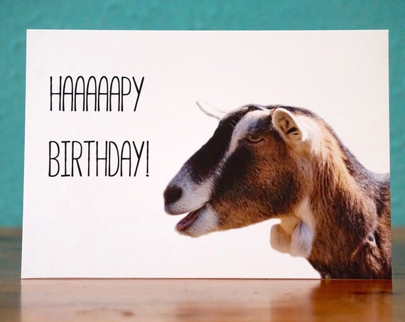 happy-birthday-goat-2-goat-notecard-handmade-by-thechickenmama