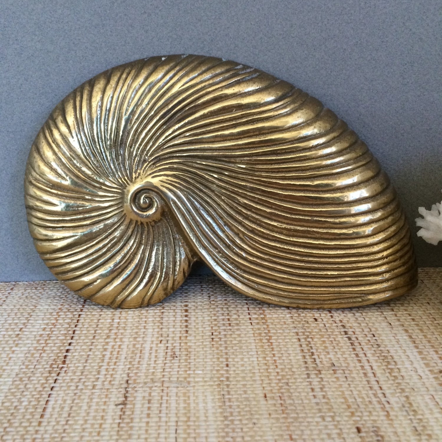 Берилловая ракушка. Nautilus Shell Decor. Раковина спираль Наутилус wire Wrapping. Золотая Ракушка. Ракушка декоративная большая.