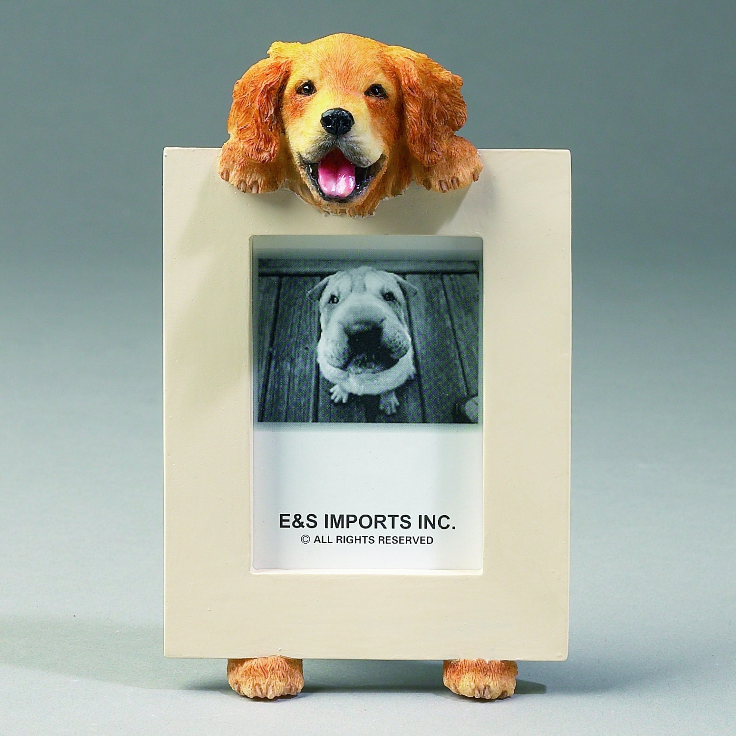 Golden Retriever Picture Frame makes a Perfect gift for Golden