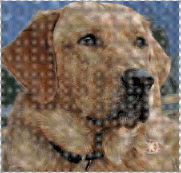 Proud Elegant And Loyal Labrador Counted Cross Stitch Pattern