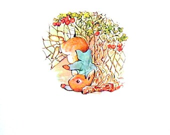 Botanical Prints World Maps Vintage Book by mysunshinevintage