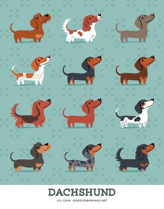 DACHSHUNDS art print