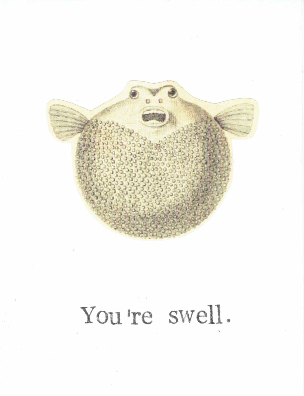 You're Swell Pufferfish Card Funny Marine Biology Humor