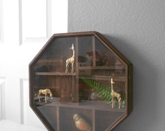 large octagon wood shadow box with glass cover / curio display box / geometric